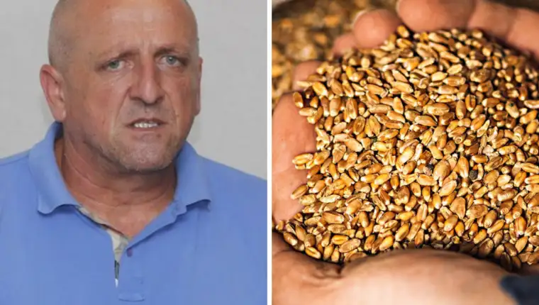 Nedžad Bićo