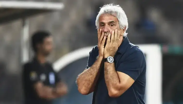 vaha halilhodzic