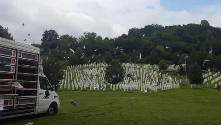golubovi pismonoše, memorijalni let