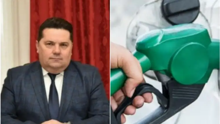 stevandic gortivo 4