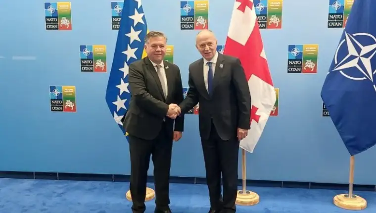 brkic nato 3