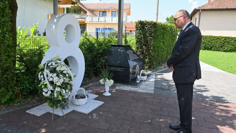 schmidt vitez