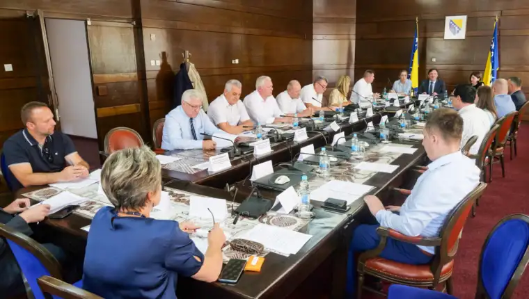 vijece za strane investitore