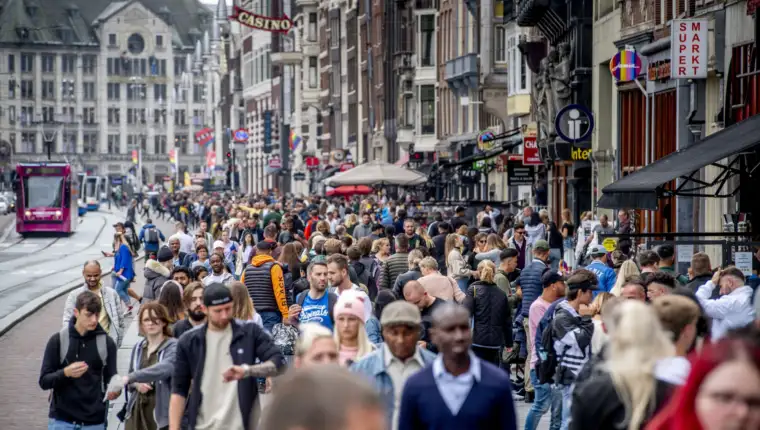 amsterdam guzva