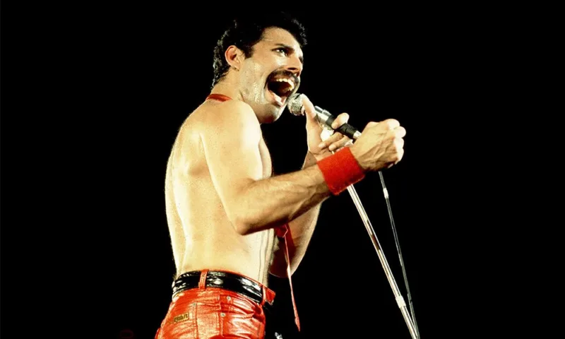 freddie