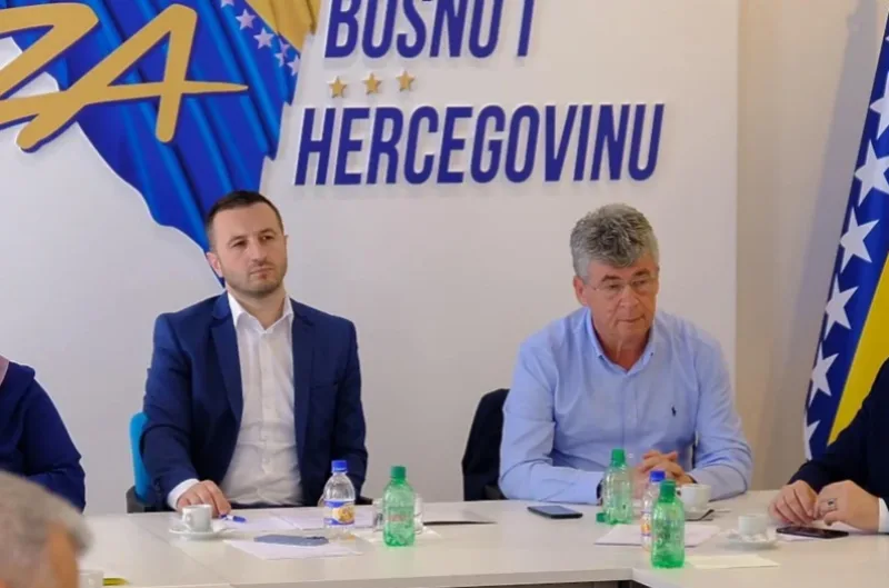 efendic nisic