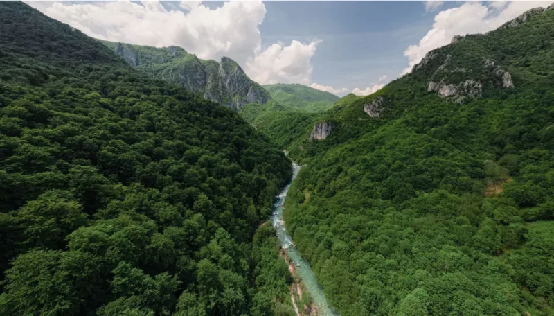 neretva cnn