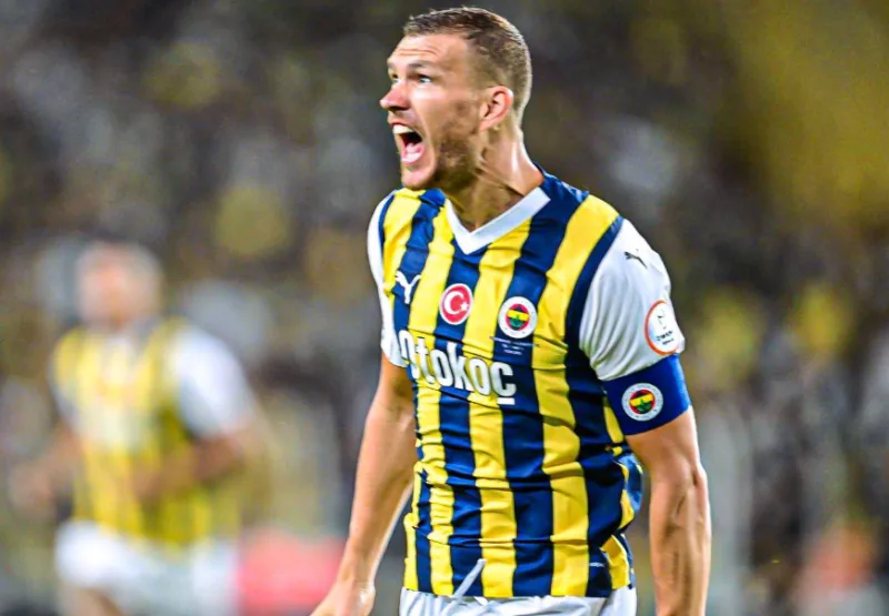 dzeko12