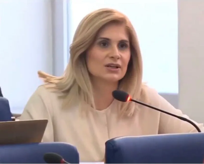 vildana bešlija