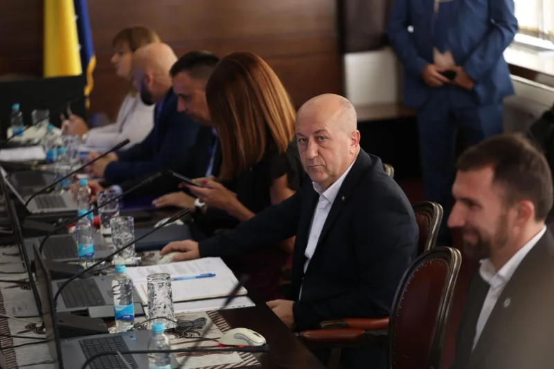nedzad lokmic