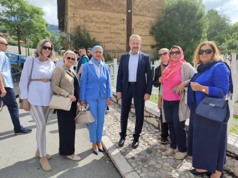 zene sda bakir
