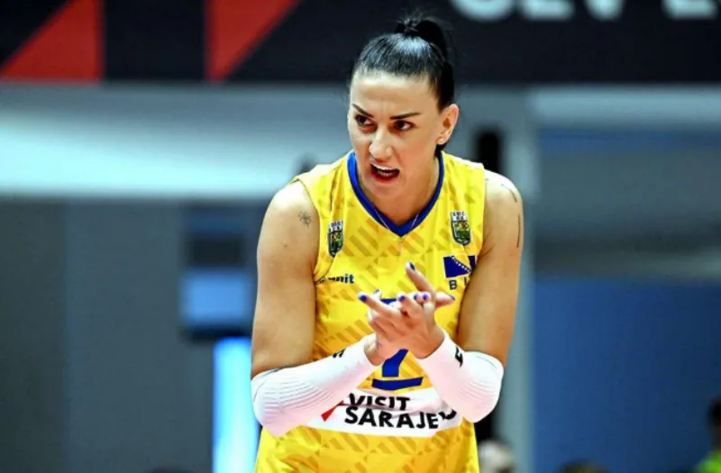 radiskovic 5