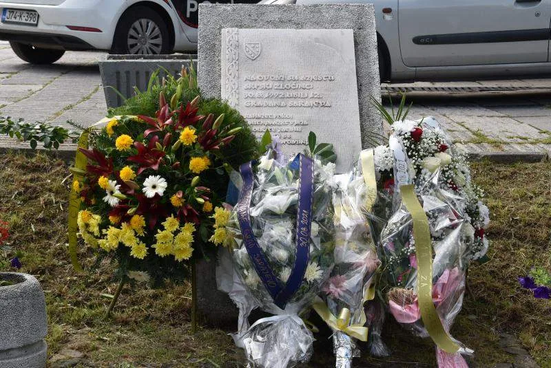 alipašino spomenik