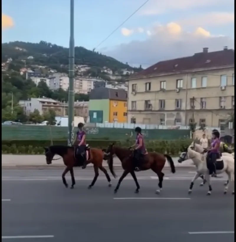 jkulin bvaN 4