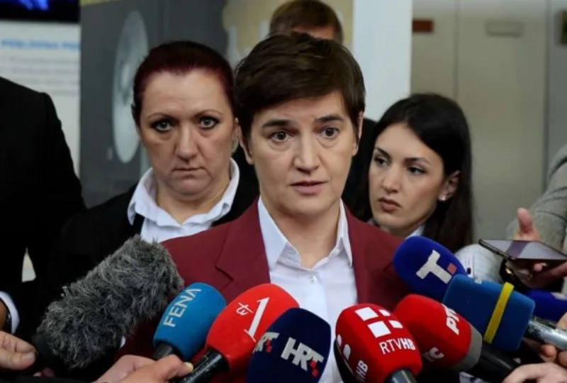 brnabic 3