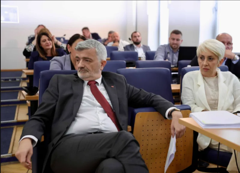 mandic vijece
