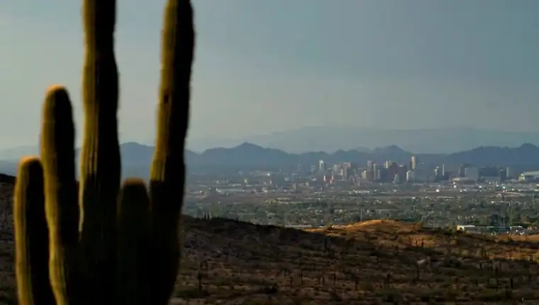 phoenix 2