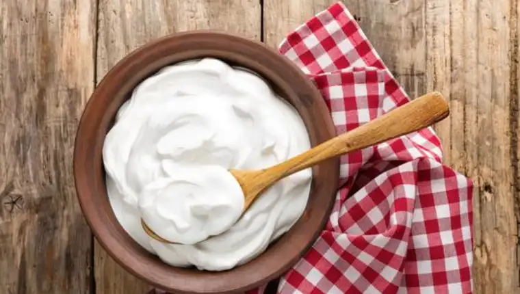 domaći grčki jogurt