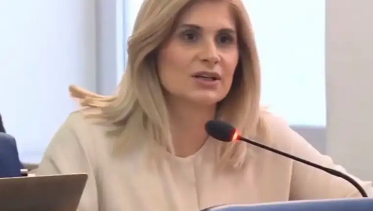 vildana bešlija