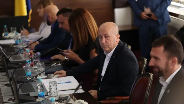 nedzad lokmic