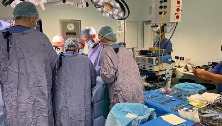 transplantacija ljekariaa