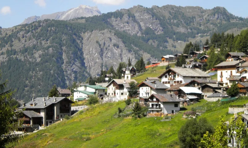 Chamois 2