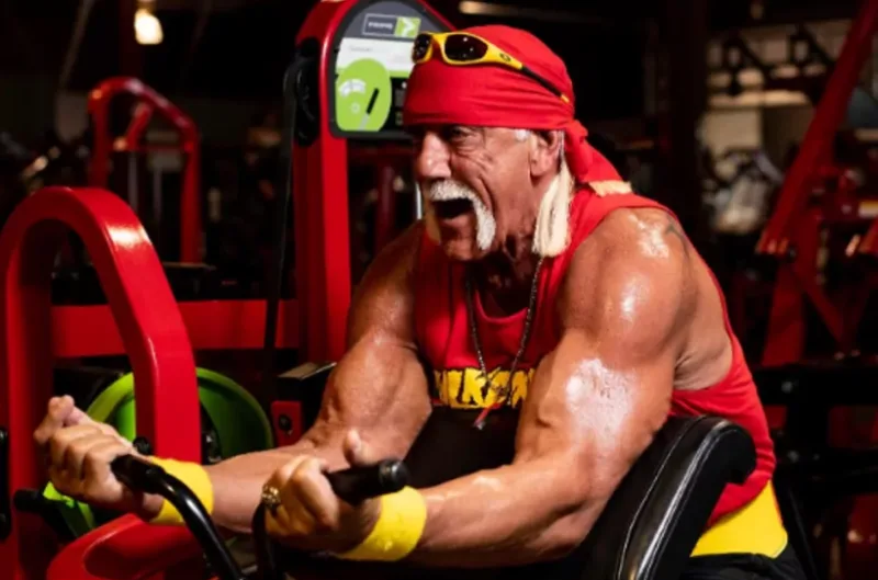 hogan 3