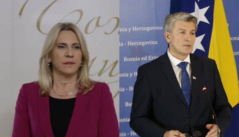 cvijanovic mehmedovic 1