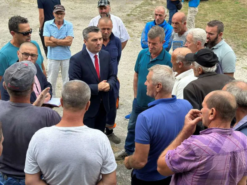 nerin dizdar kamenica