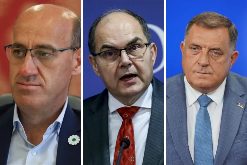 Salkić, Schmidt, Dodik