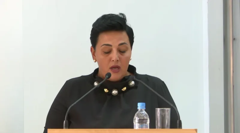 amina smajlovic skupsztina