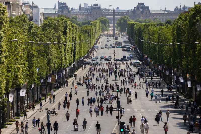 pariz dise