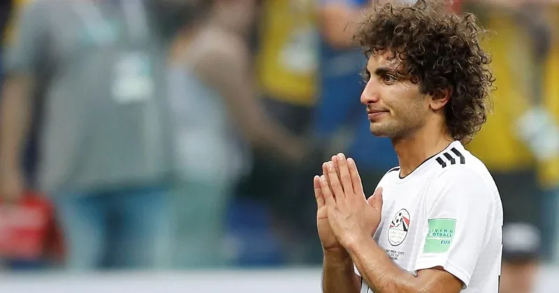 amr_warda