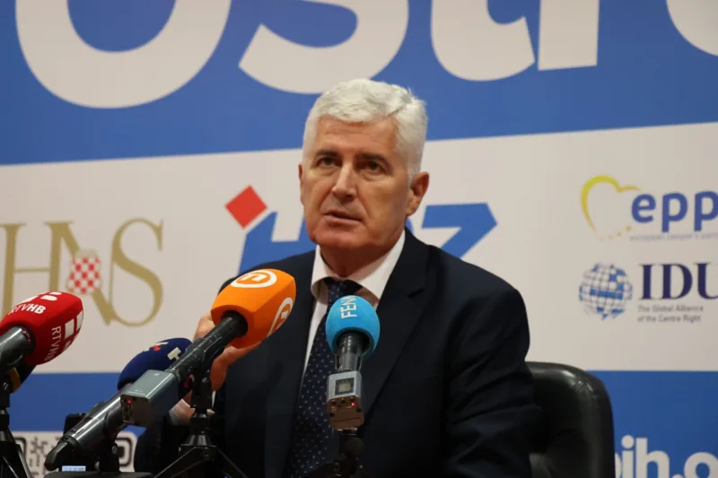 dragan covic fena