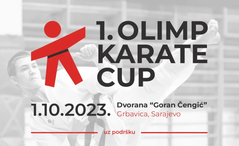 Visual Olimp Cup 1