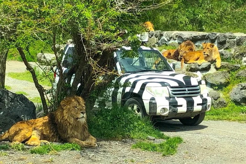 lav, safari park