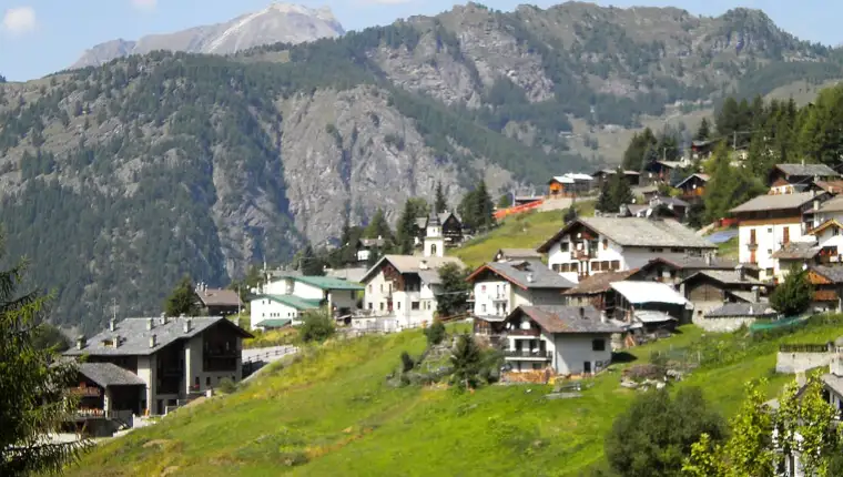 Chamois 2