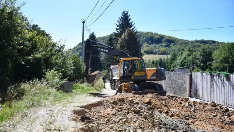 zenik1