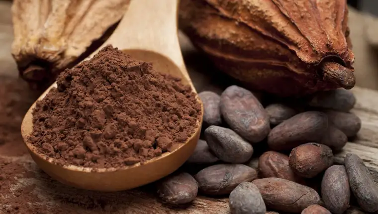 cocoa