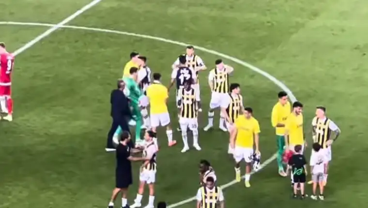 dzeko fener 3