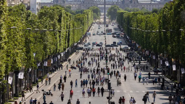pariz dise
