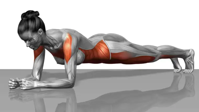 plank