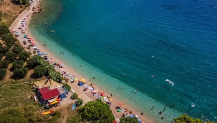 Brač