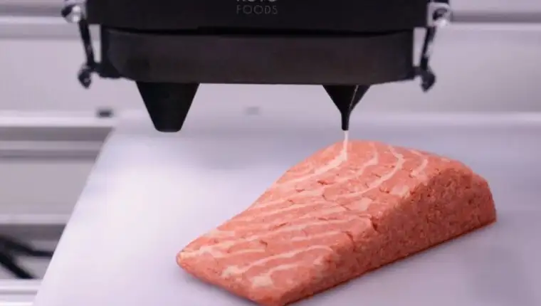 losos printer
