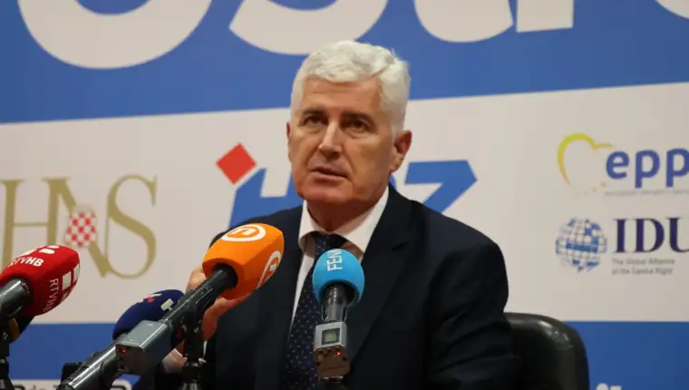 dragan covic fena