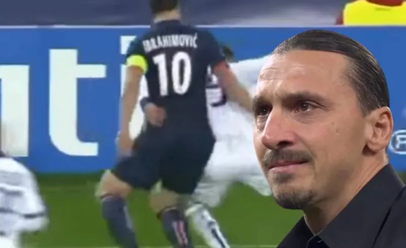 ibra mitrovic