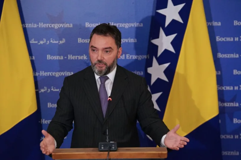 stasa kosarac vijece ministara fena