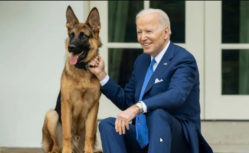 biden komandir 4