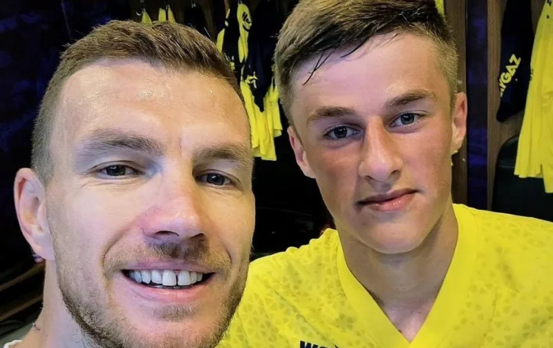 dzeko brahic