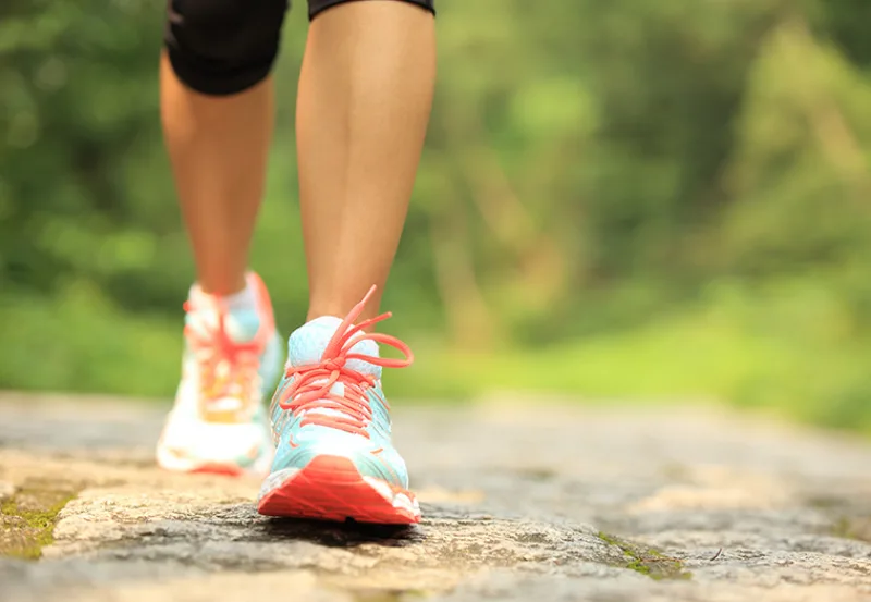 Young,Fitness,Woman,Legs,Walking,On,Forest,Trail